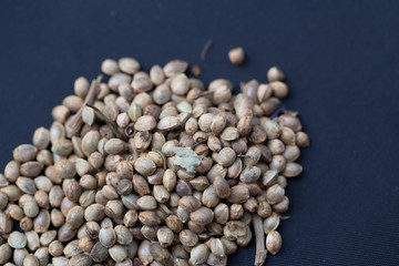 Cannabis seeds (Drugs)