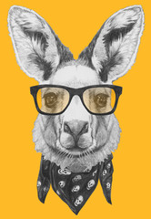 Portrait of Kangaroo with glasses and scarf. Hand drawn illustration.