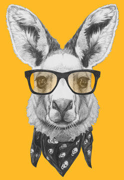 Portrait of Kangaroo with glasses and scarf. Hand drawn illustration.
