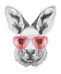 Kangaroo in Love! Portrait of Kangaroo with sunglasses, hand-drawn illustration