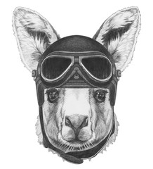 Portrait of Kangaroo with vintage helmet,  hand-drawn illustration
