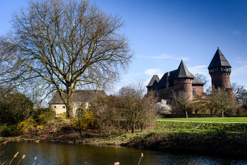 Obraz premium Castle & Tree