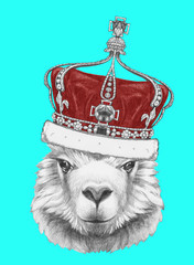 Portrait of Lama with crown,  hand-drawn illustration