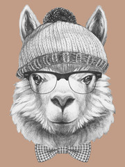 Portrait of Hipster, portrait of Lama with sunglasses, hat and bow tie, hand-drawn illustration