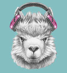 Portrait of Lama with headphones,  hand-drawn illustration © Victoria Novak
