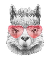 Lama in Love! Portrait of with sunglasses, hand-drawn illustration