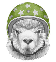 Portrait of Lama with helmet,  hand-drawn illustration