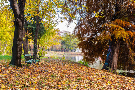 Bench toward the lake late autumn.Tree near the lake with heart graffiti