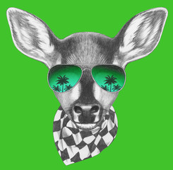 Portrait of Fawn with scarf and glasses, hand drawn illustration.