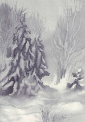 Obraz premium firs in winter watercolor background