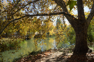 Paisaje otoñal