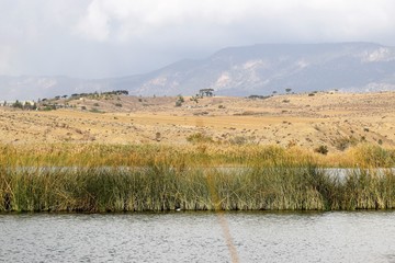 beautiful landscape with a lake