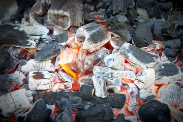 EMBERS