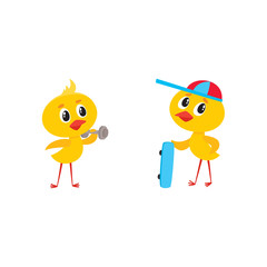 vector cartoon cute baby chicken characters set. Yellow small funny chicks singing at microphone and skating. Flat bird animal, isolated illustration on a white background.
