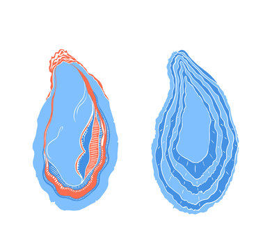 Oyster Open and Closed 