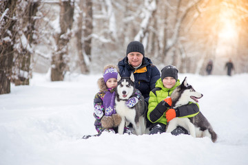 Fototapeta na wymiar Dad with two children, daughter and son and two Husky puppies for a walk in the park in the winter.