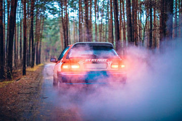 Plakat Street racing car in the forest