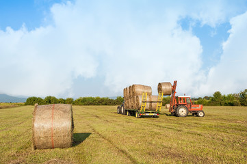 Agricultural scene. Tractor lifting hay bale on barrow.