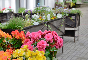 Fototapeta na wymiar Street decoration by flowers