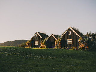 traditional icelandic houses with grass roofs on green field, Iceland