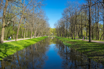 Fototapeta na wymiar View of the Alexander Park in Pushkin