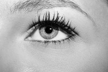 A beautiful insightful look woman's eye. 