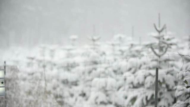Ein Lichtschild mit der Aufschrift "Merry Christmas" wird von links in das Bild gehalten, in einer verschneiten Winter Naturlandschaft