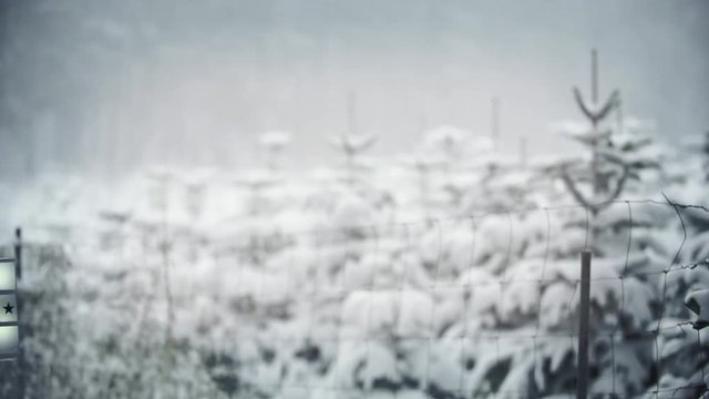 Ein Lichtschild mit der Aufschrift "Merry Christmas" wird von links in das Bild gehalten, in einer verschneiten Winter Naturlandschaft (Analog Style)..