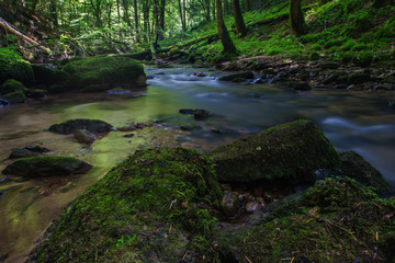 Obraz premium Bach im Welzheimer Wald
