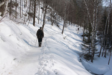 Nordic Walking - adult man hiking  on snow in winter, Altai Mountains, Russia