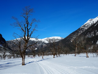 Karwendelloipe - Tirol