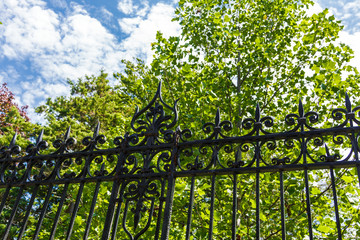 Fototapeta premium Black Wrought Iron Against Green Trees