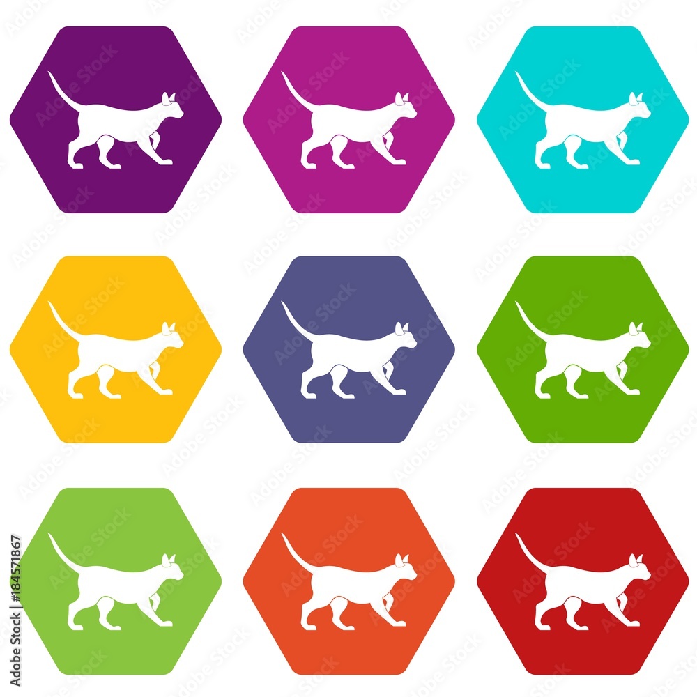 Wall mural Cat icon set color hexahedron - Wall murals