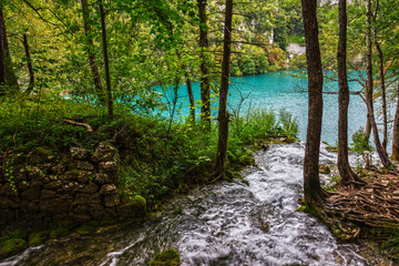Obraz premium lake natural travel background, national park, Croatia, Plitvice