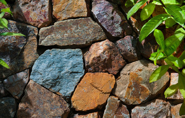 Stones background with green plants around