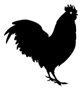 Rooster Cock Side View vector eps 10