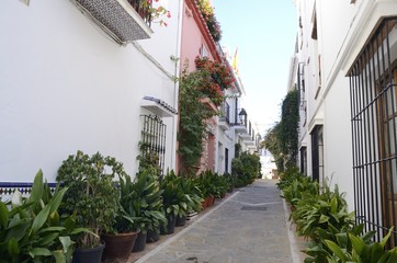 Fototapeta na wymiar Plants pot in alley in Marbella, Andalusia, Spain