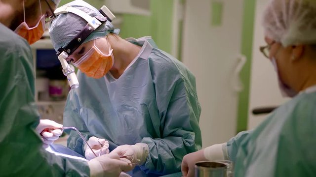 Оның сорып жатқан және бір уақытта жалап жатқан суреттері