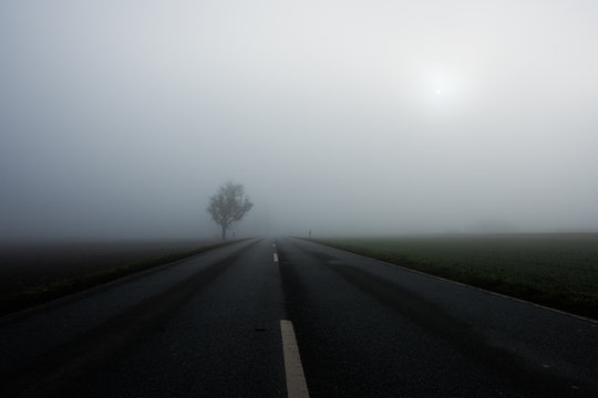 Im Nebel