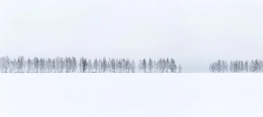 Rolgordijnen Winter minimalistisch landschap. Een rij kale bomen tegen een witte sneeuw en een witte hemelachtergrond. © mark_ka