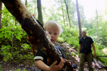 Naklejka na ściany i meble Boy carrying a limb in a forest