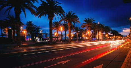 The palm road in Spain