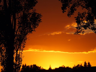 All Quite on the Western Front