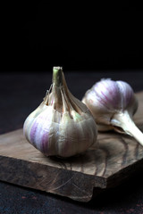 Fresh fragrant garlic on a dark background with copy space