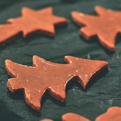 Baking home made Christmas cookies. Classical Czech tradition. Concept for the winter season, food and Christmas holidays.