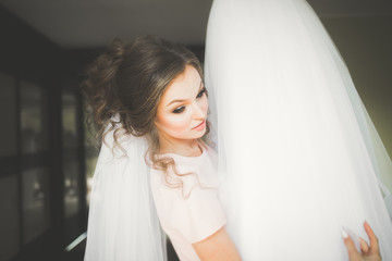 Luxury bride in white dress posing while preparing for the wedding ceremony