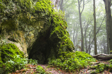 Cave in foggy forest