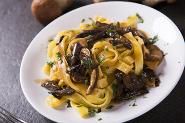Tagiatelle pasta with creamy sauce with porcini mushrooms
