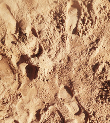 sand background