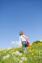 Naklejka na ściany i meble Boy walking through field of flowers